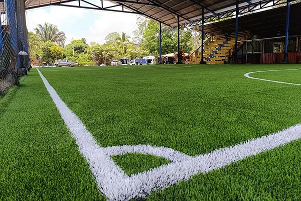 Sports Turf